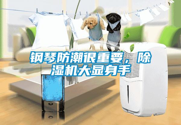 鋼琴防潮很重要，除濕機大顯身手