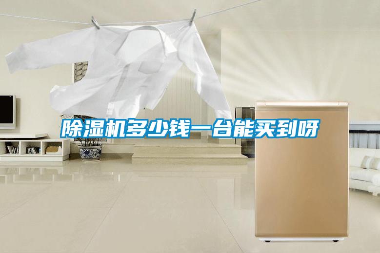 除濕機多少錢(qián)一臺能買(mǎi)到呀