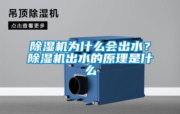 除濕機為什么會(huì )出水？除濕機出水的原理是什么