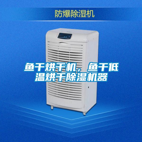 魚(yú)干烘干機，魚(yú)干低溫烘干除濕機器