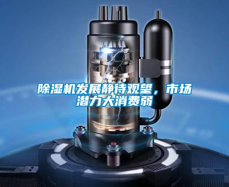 除濕機發(fā)展靜待觀(guān)望，市場(chǎng)潛力大消費弱