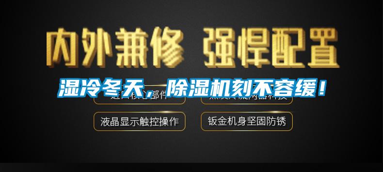 濕冷冬天，除濕機刻不容緩！
