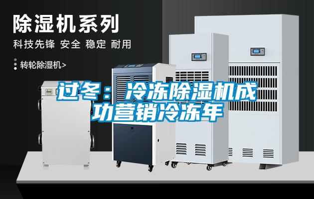 過(guò)冬：冷凍除濕機成功營(yíng)銷(xiāo)冷凍年
