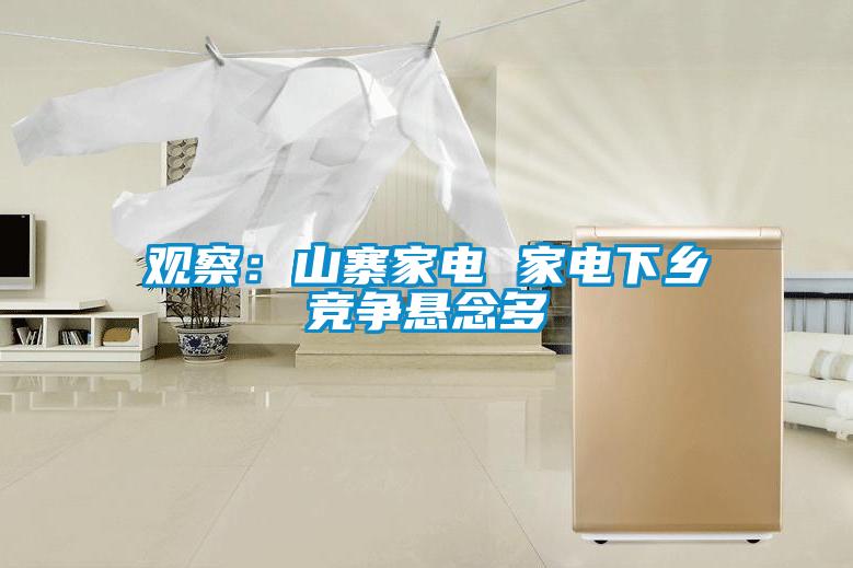 觀(guān)察：山寨家電 家電下鄉競爭懸念多