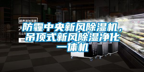 防霾中央新風(fēng)除濕機，吊頂式新風(fēng)除濕凈化一體機