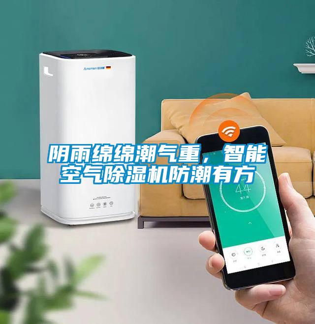 陰雨綿綿潮氣重，智能空氣除濕機防潮有方