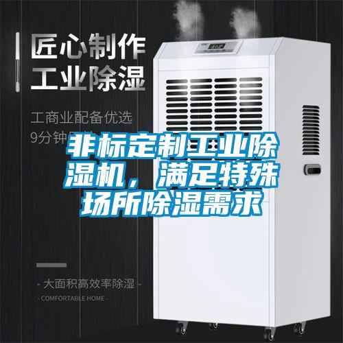 非標定制工業(yè)除濕機，滿(mǎn)足特殊場(chǎng)所除濕需求