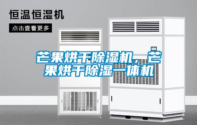 芒果烘干除濕機，芒果烘干除濕一體機