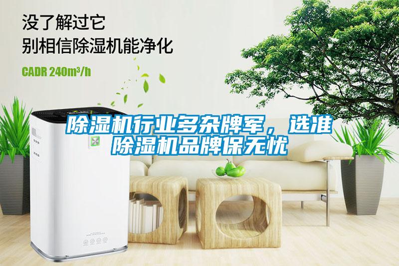 除濕機行業(yè)多雜牌軍，選準除濕機品牌保無(wú)憂(yōu)