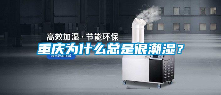 重慶為什么總是很潮濕？