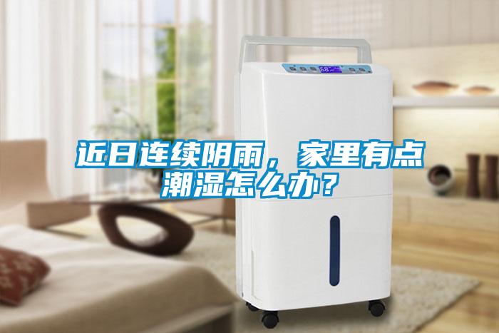 近日連續陰雨，家里有點(diǎn)潮濕怎么辦？
