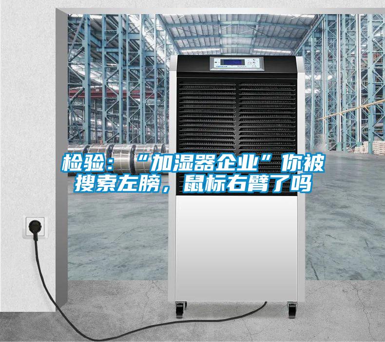 檢驗：“加濕器企業(yè)”你被搜索左膀，鼠標右臂了嗎