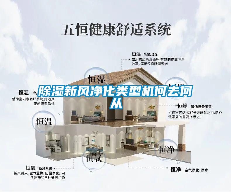 除濕新風(fēng)凈化類(lèi)型機何去何從