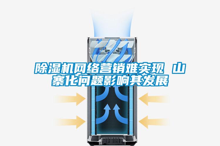 除濕機網(wǎng)絡(luò )營(yíng)銷(xiāo)難實(shí)現 山寨化問(wèn)題影響其發(fā)展
