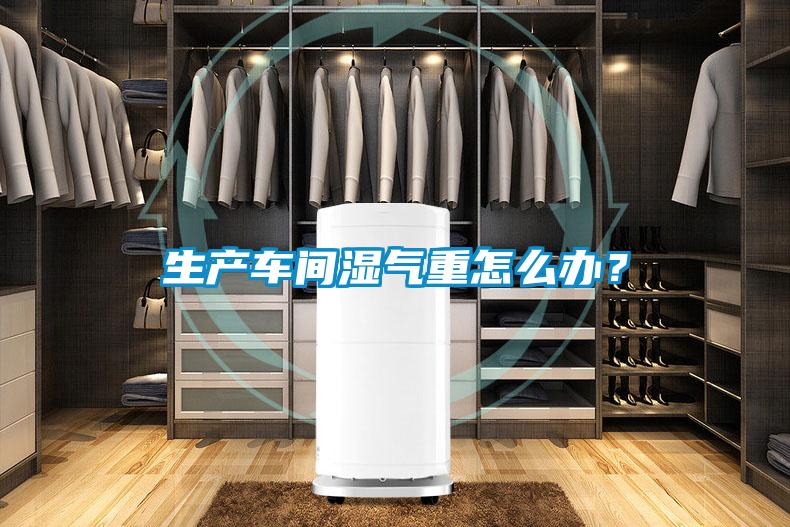 生產(chǎn)車(chē)間濕氣重怎么辦？