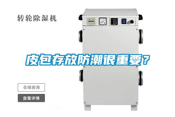 皮包存放防潮很重要？
