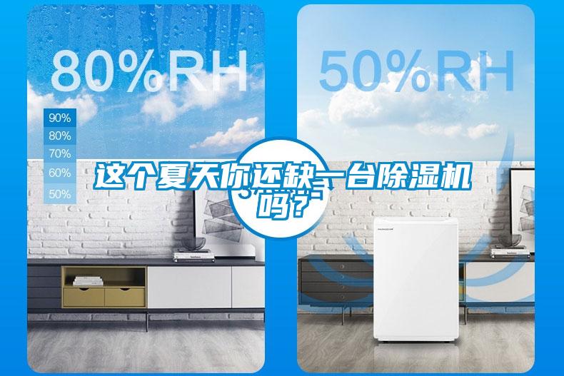 這個(gè)夏天你還缺一臺除濕機嗎？