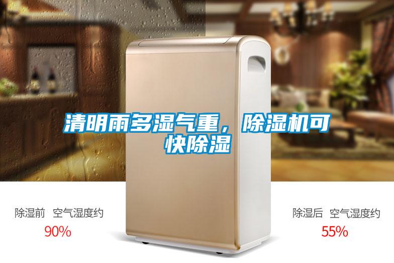 清明雨多濕氣重，除濕機可快除濕