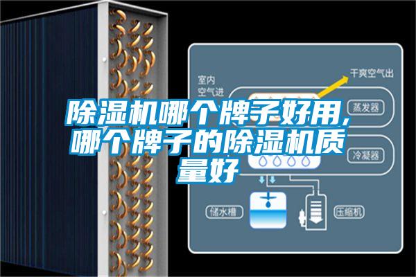 除濕機哪個(gè)牌子好用,哪個(gè)牌子的除濕機質(zhì)量好