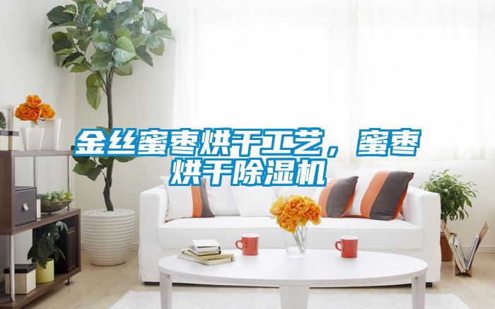 金絲蜜棗烘干工藝，蜜棗烘干除濕機
