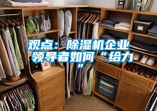 觀(guān)點(diǎn)：除濕機企業(yè) 領(lǐng)導者如何“給力”