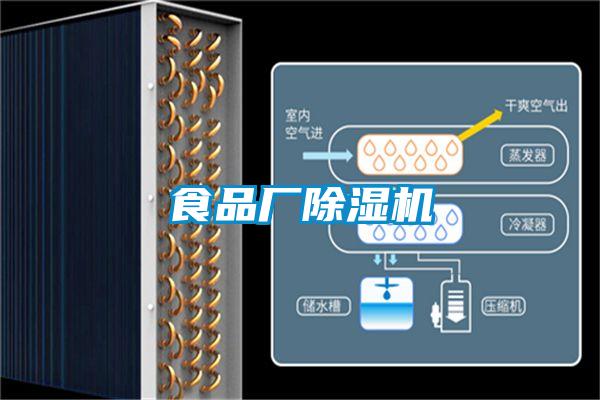 食品廠(chǎng)除濕機