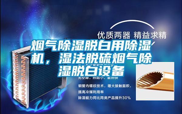 煙氣除濕脫白用除濕機，濕法脫硫煙氣除濕脫白設備