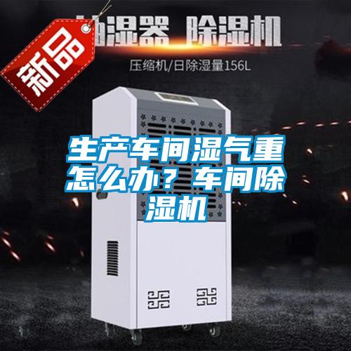 生產(chǎn)車(chē)間濕氣重怎么辦？車(chē)間除濕機