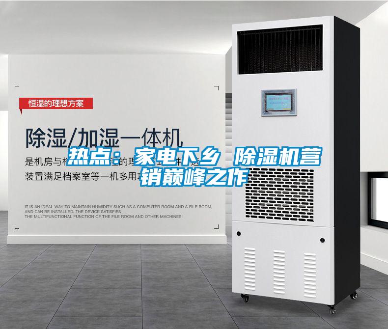 熱點(diǎn)：家電下鄉 除濕機營(yíng)銷(xiāo)巔峰之作