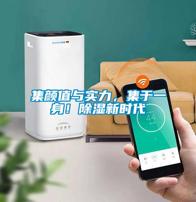 集顏值與實(shí)力，集于一身！除濕新時(shí)代