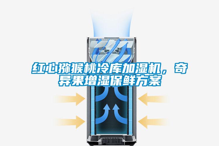 紅心獼猴桃冷庫加濕機，奇異果增濕保鮮方案