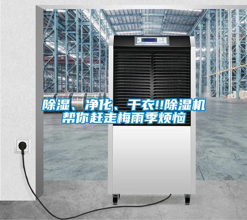 除濕、凈化、干衣!!除濕機幫你趕走梅雨季煩惱