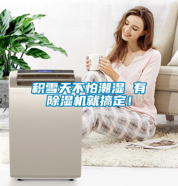 積雪天不怕潮濕 有除濕機就搞定！