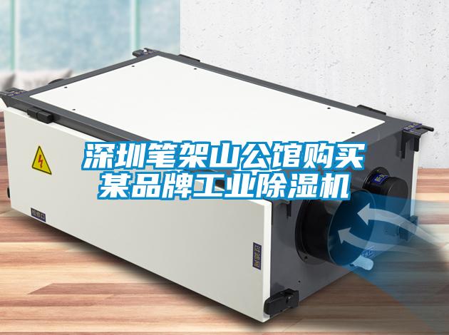 深圳筆架山公館購買(mǎi)某品牌工業(yè)除濕機
