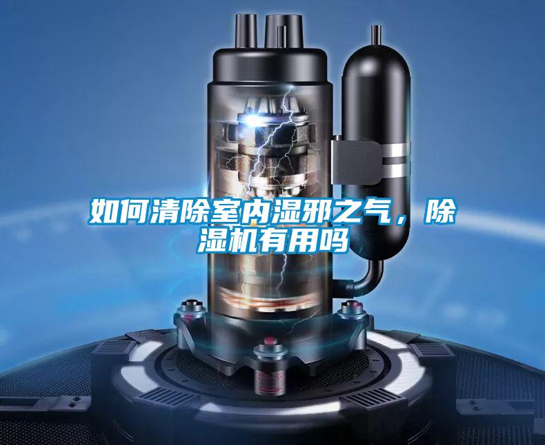 如何清除室內濕邪之氣，除濕機有用嗎