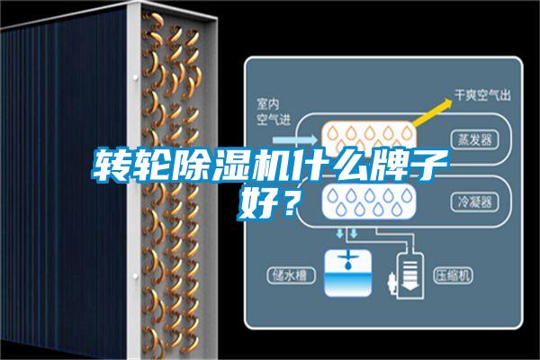 轉輪除濕機什么牌子好？
