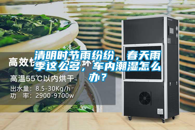 清明時(shí)節雨紛紛，春天雨季這么多，車(chē)內潮濕怎么辦？