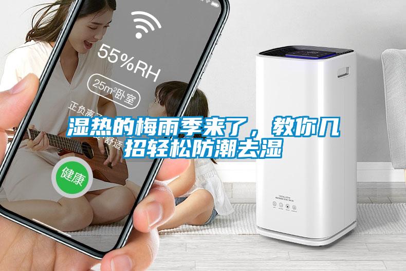 濕熱的梅雨季來(lái)了，教你幾招輕松防潮去濕