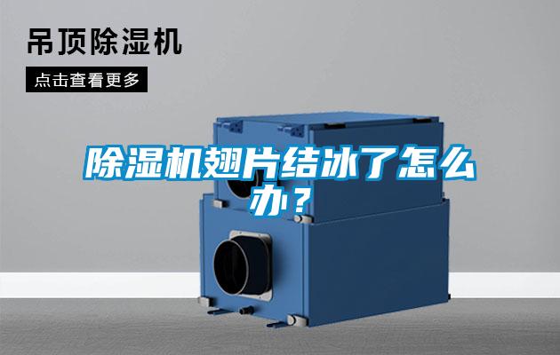 除濕機翅片結冰了怎么辦？