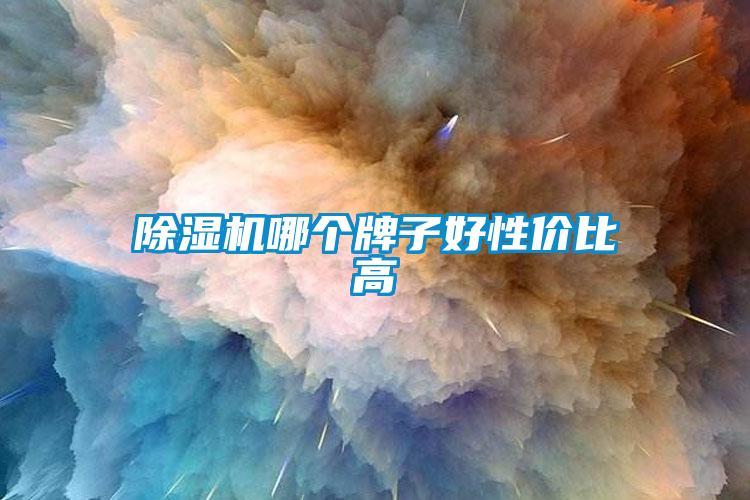 除濕機哪個(gè)牌子好性?xún)r(jià)比高