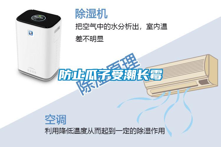 防止瓜子受潮長(cháng)霉