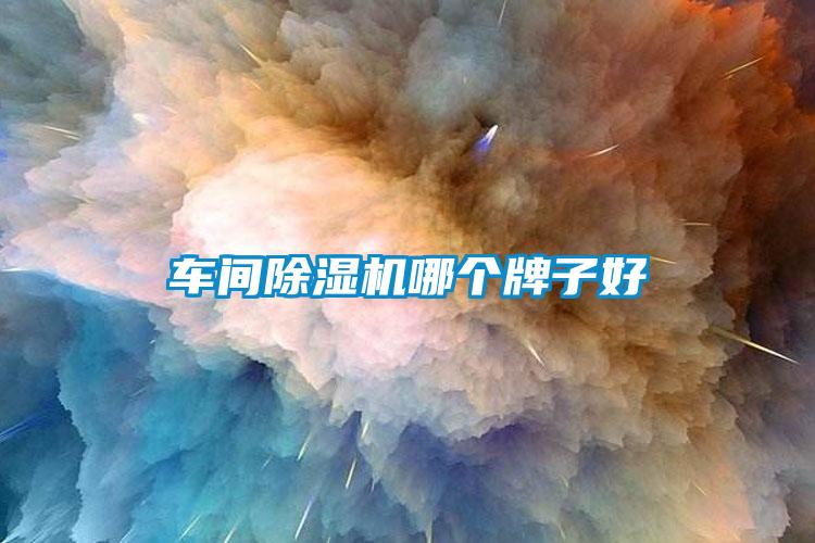 車(chē)間除濕機哪個(gè)牌子好