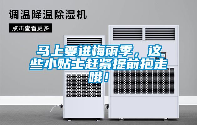 馬上要進(jìn)梅雨季，這些小貼士趕緊提前抱走哦！