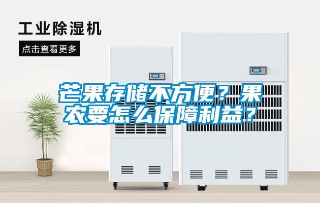 芒果存儲不方便？果農要怎么保障利益？