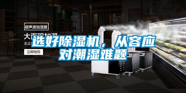 選好除濕機，從容應對潮濕難題