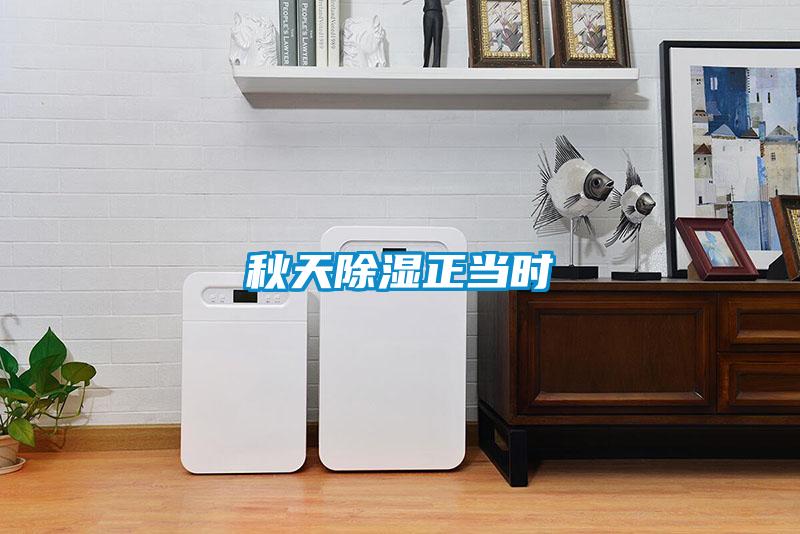 秋天除濕正當時(shí)