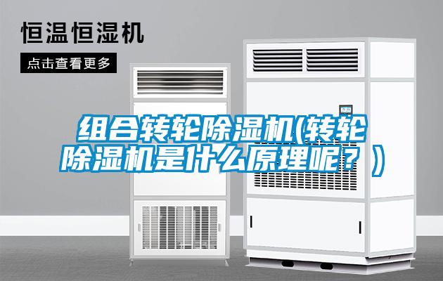 組合轉輪除濕機(轉輪除濕機是什么原理呢？)
