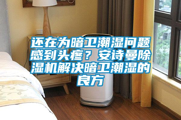 還在為暗衛潮濕問(wèn)題感到頭疼？安詩(shī)曼除濕機解決暗衛潮濕的良方