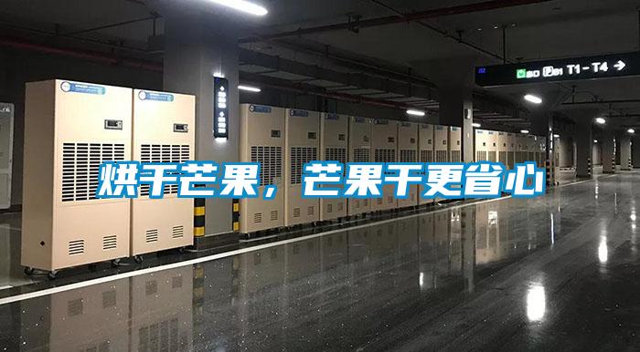 烘干芒果，芒果干更省心