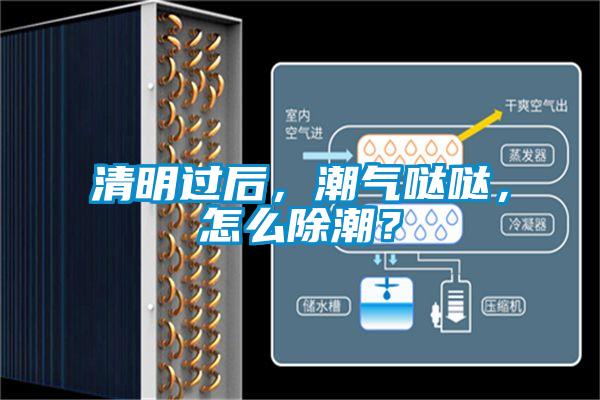 清明過(guò)后，潮氣噠噠，怎么除潮？